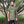Load image into Gallery viewer, Persevere Tee - Military Green